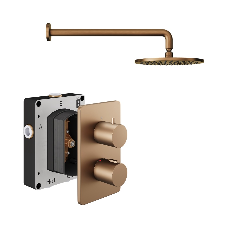 Product Cut out image of the Abacus Iso Brushed Bronze 1 Outlet Shower Pack with Fixed Shower Head